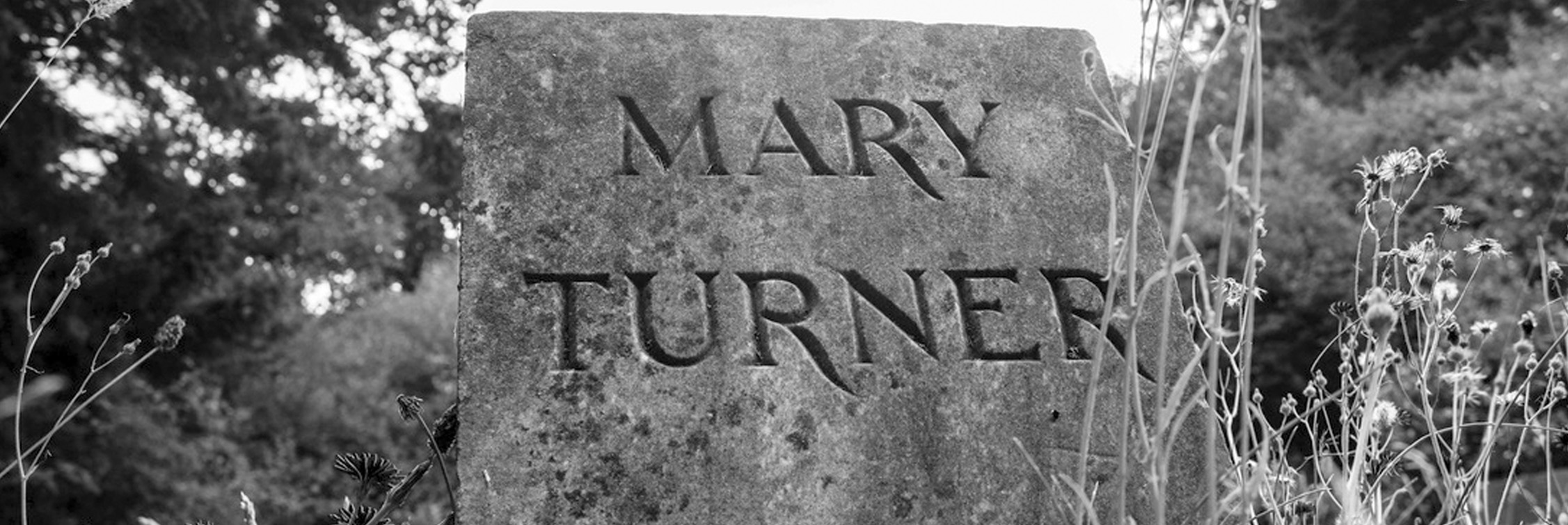 El horroroso linchamiento a Mary Turner