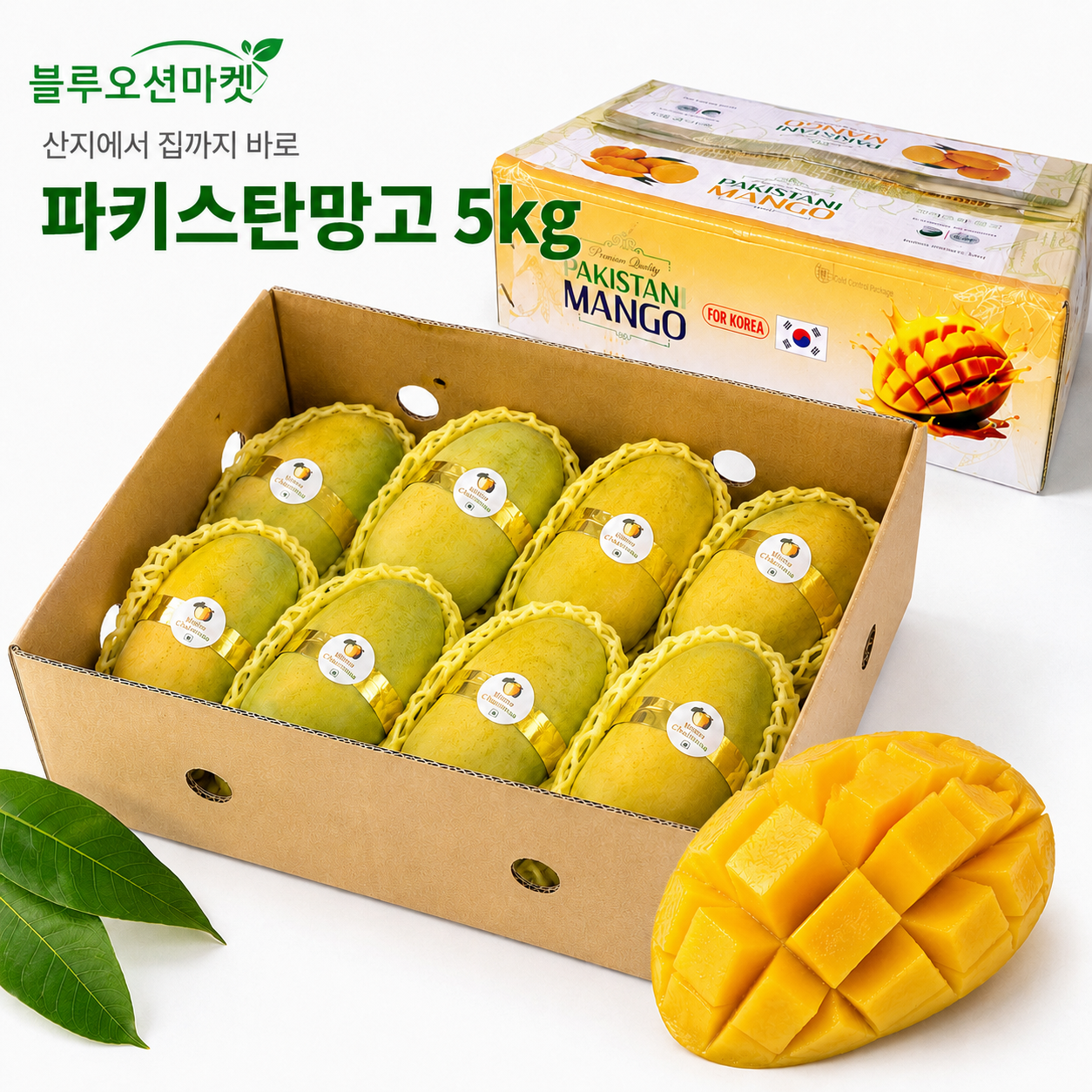 파키스탄 존사 망고 5kg