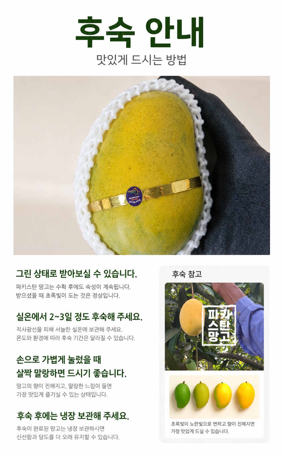 파키스탄 존사 망고 5kg 상세 이미지 2