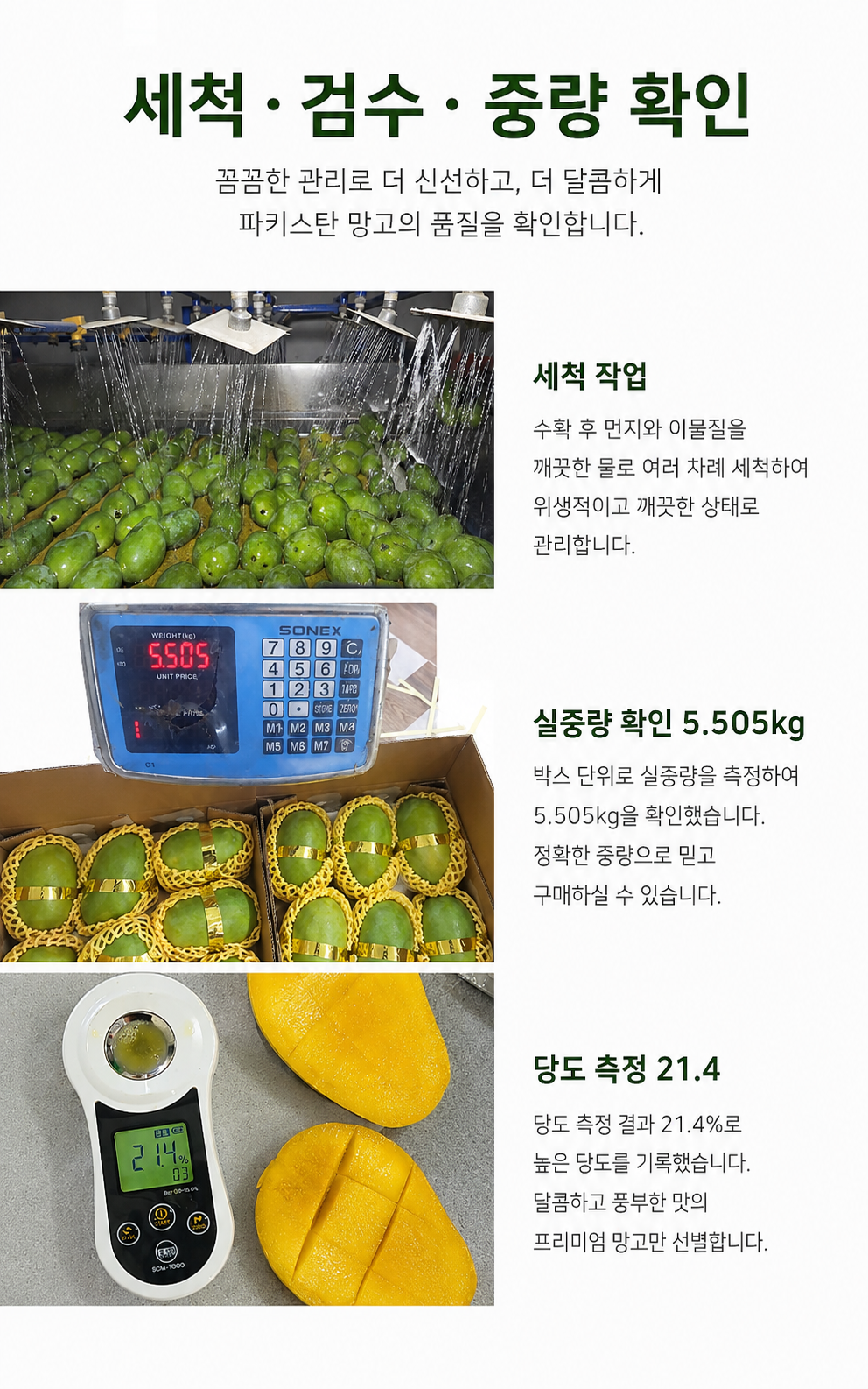 파키스탄 존사 망고 5kg 상세 이미지 4