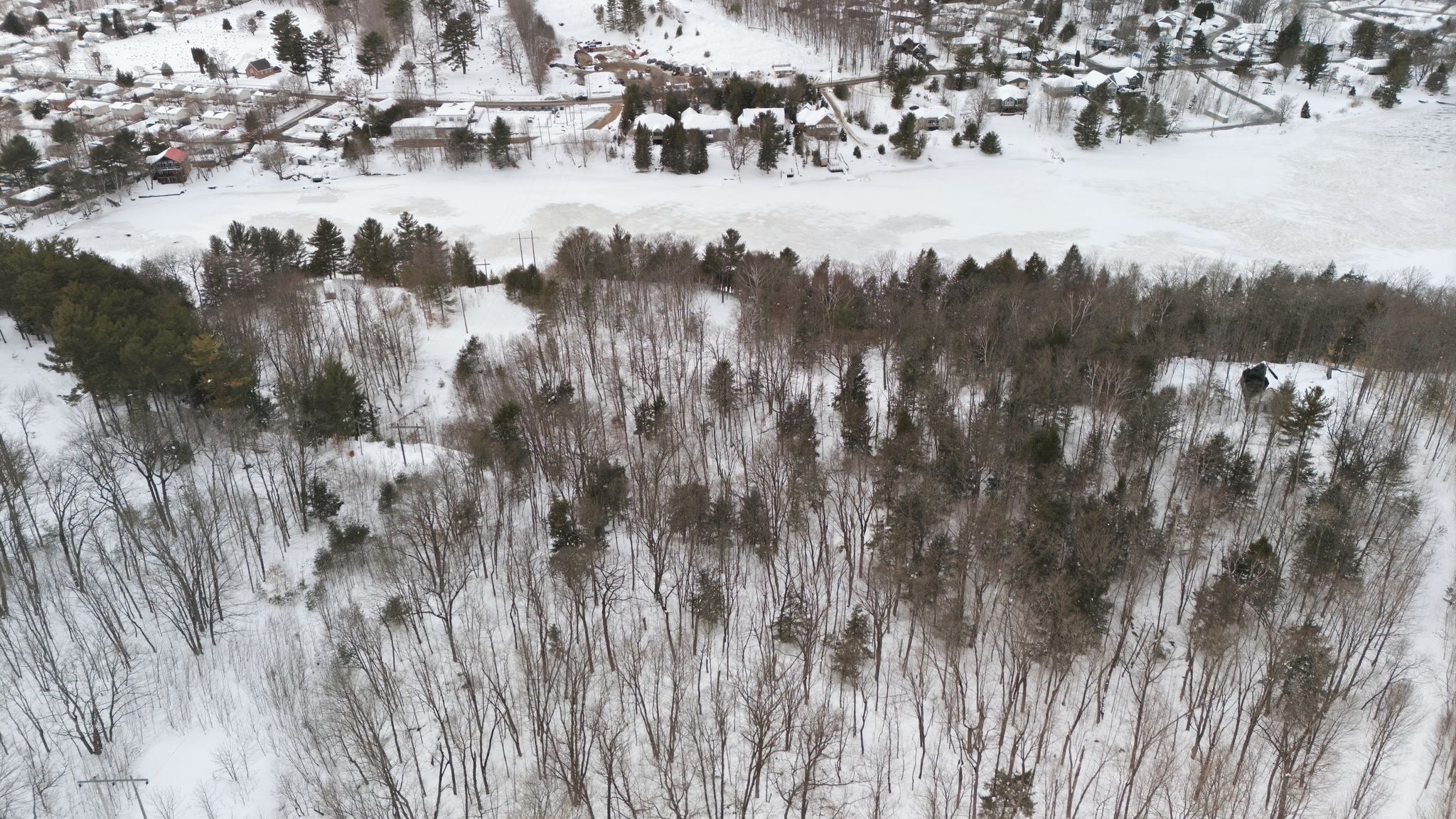 DJI_20260219164155_0907_D