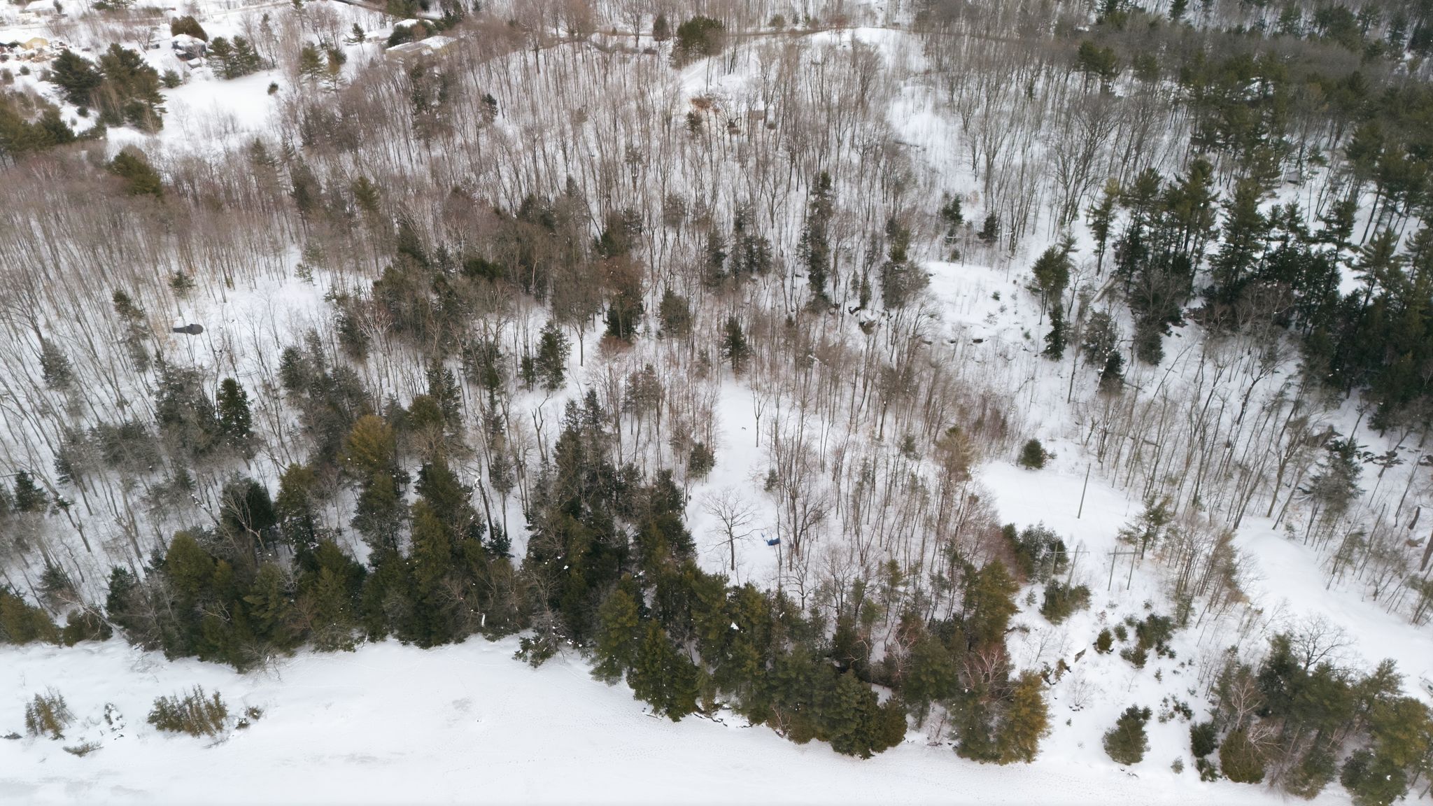 DJI_20260219164308_0909_D