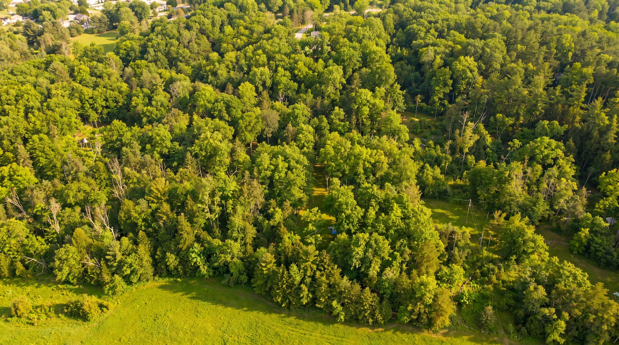 DJI_20260219164308_0909_D_reedit_8f4a602a