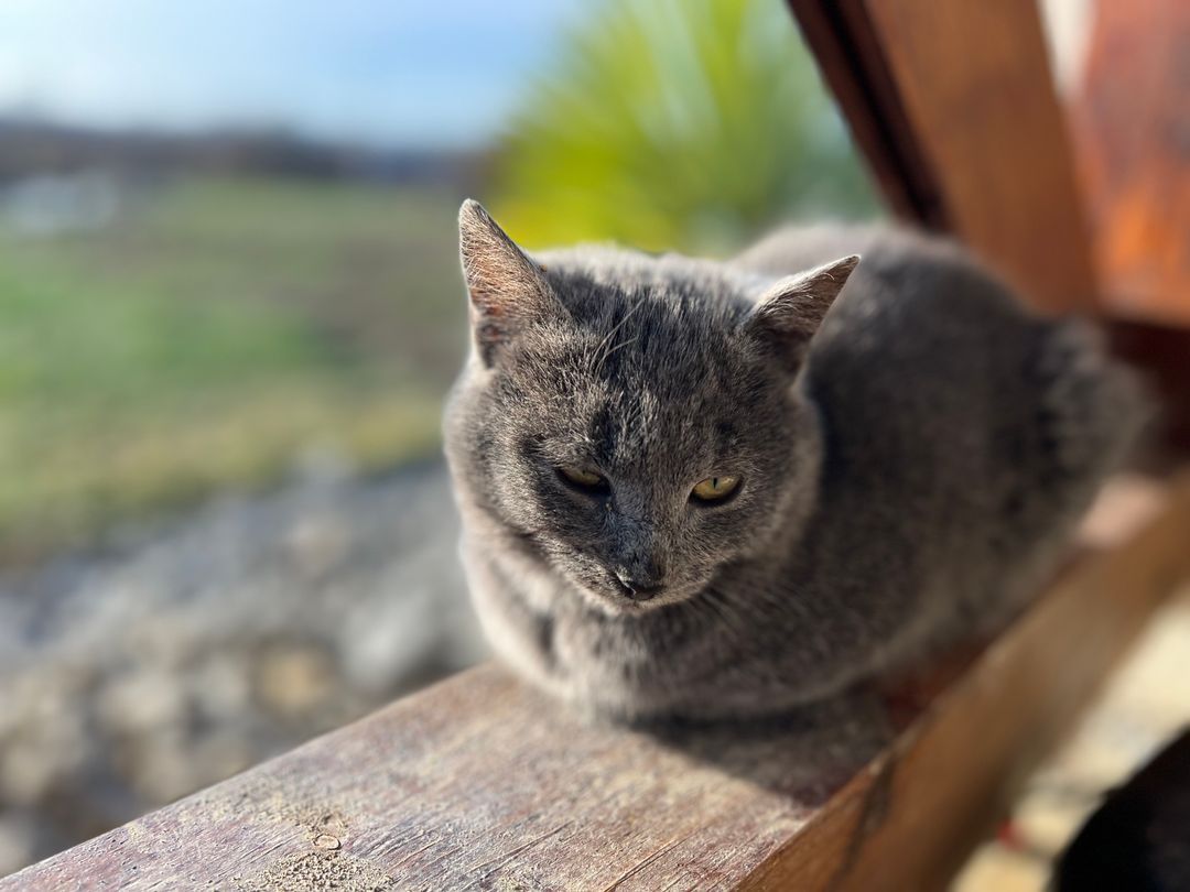 IMG_8060.jpeg