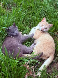 IMG_1482.jpeg