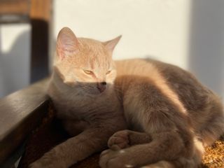 IMG_8062.jpeg