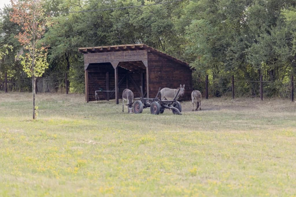 155.jpg