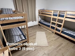 173.jpg