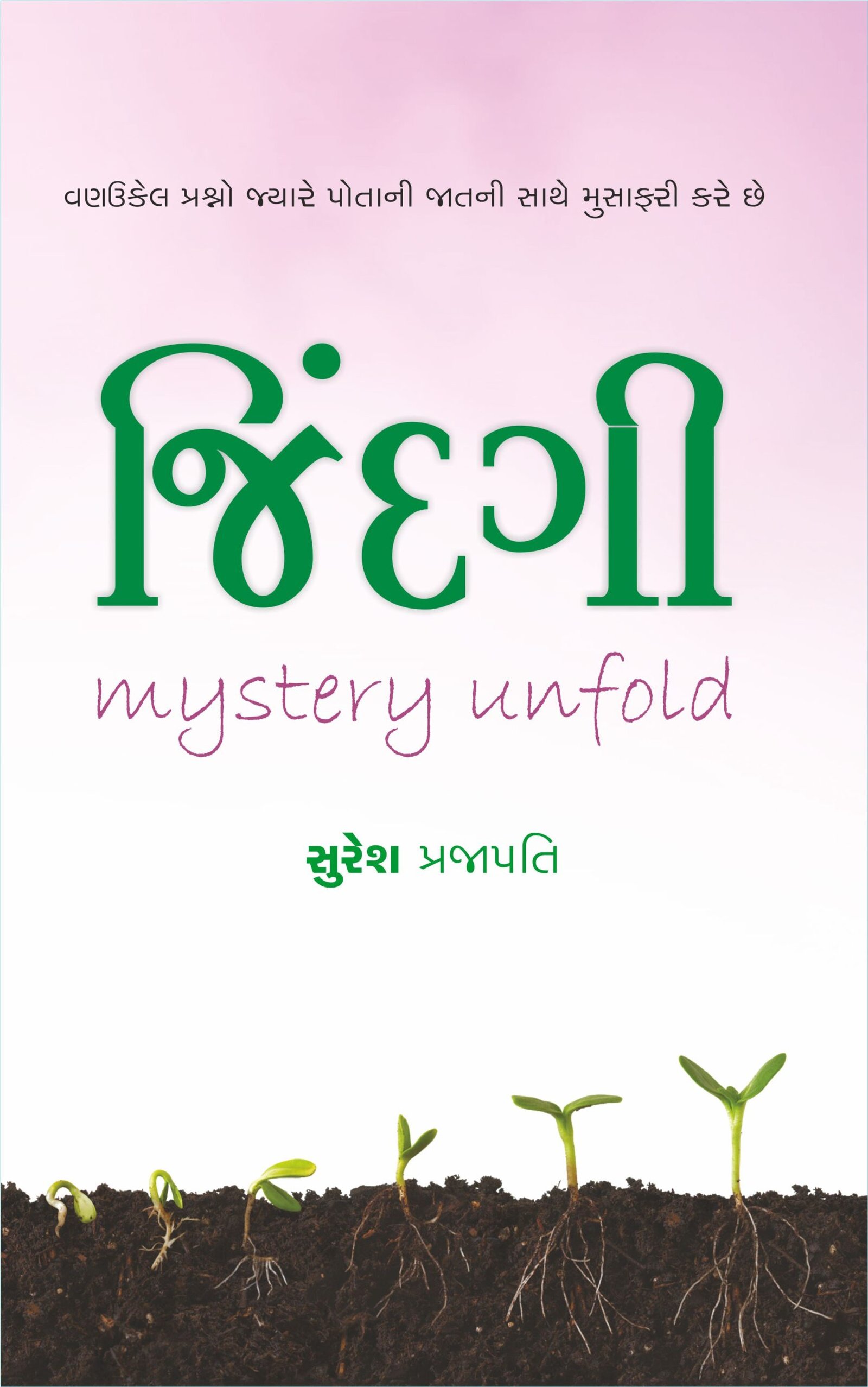 જિંદગી mystery unfold