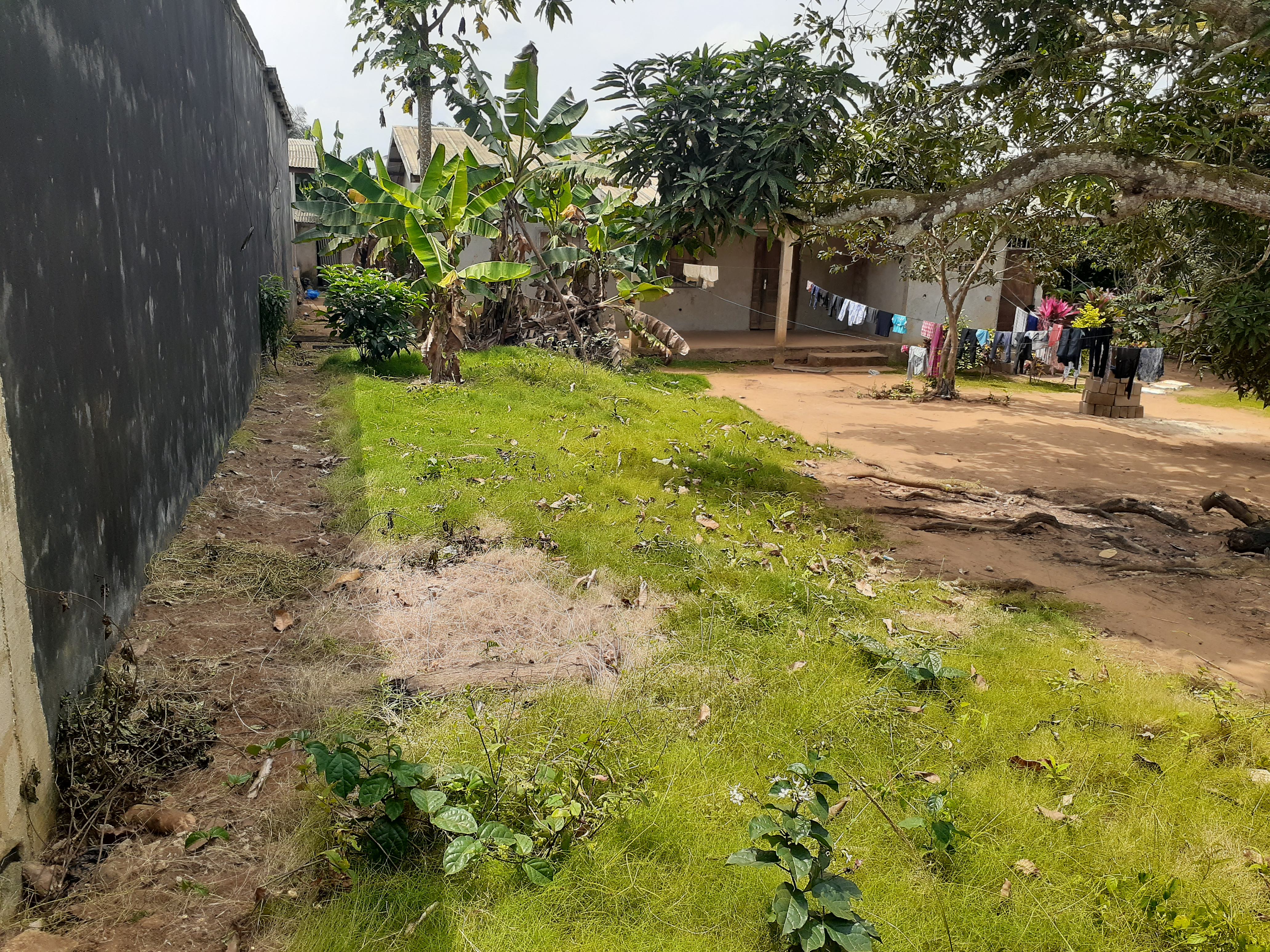 abidjansolution_vente_maison1_bonoua_centre2_50_millions.jpg