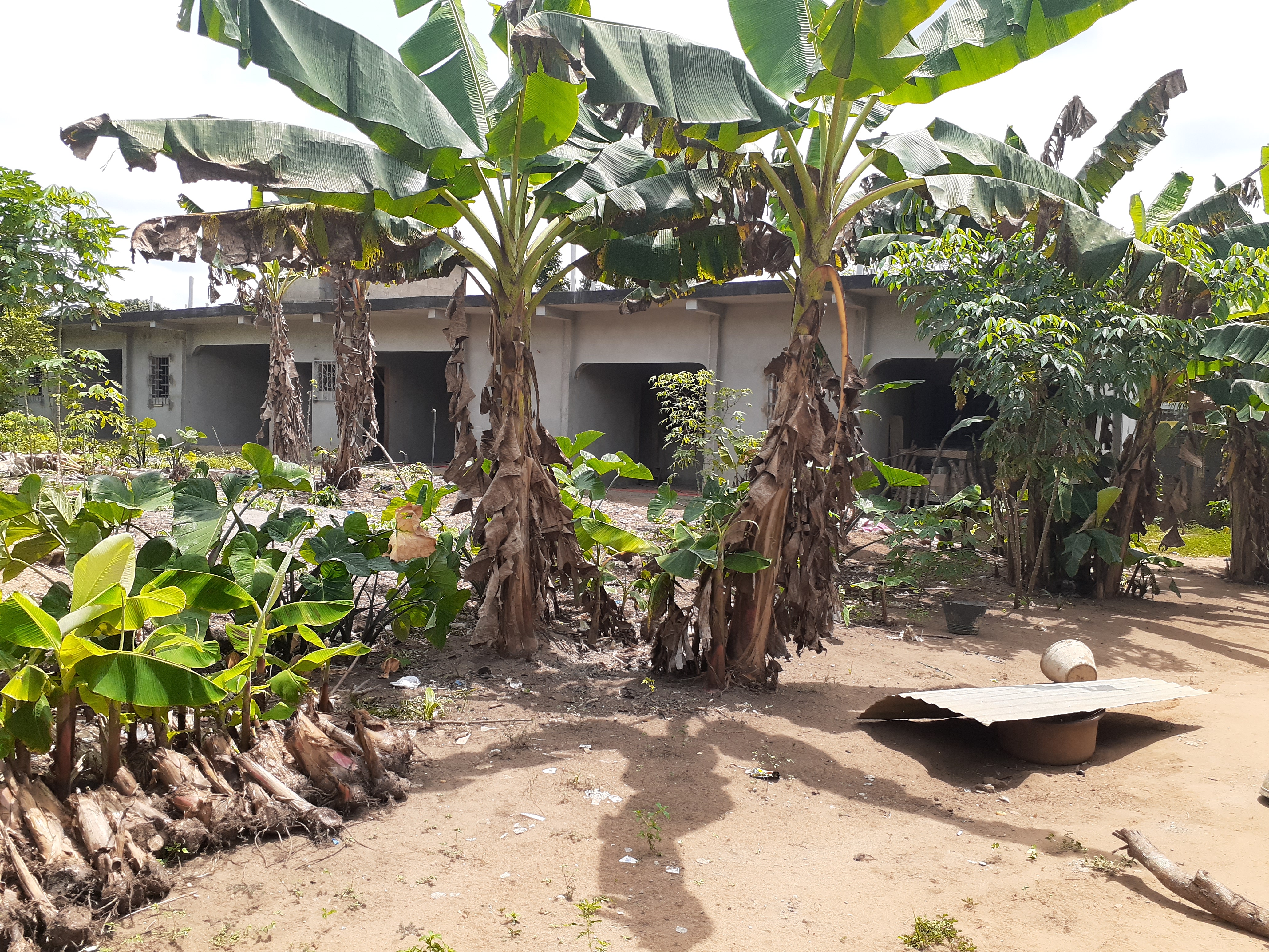abidjansolution_vente_maison_bonoua_centre2_50_millions.jpg