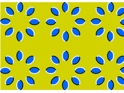 blueberries