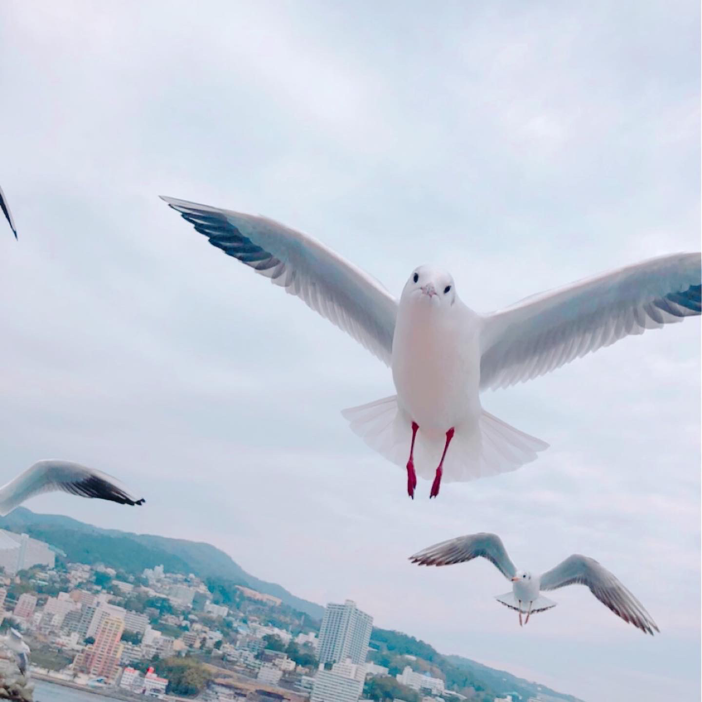 ユーザーのアイコンとして表示