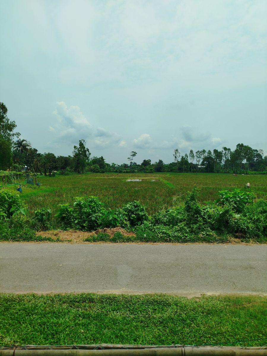 নালিতাবাড়ী, শেরপুর