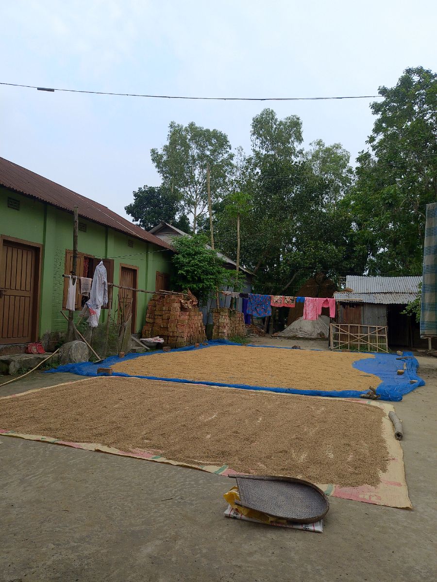 মেলান্দহ, জামালপুর