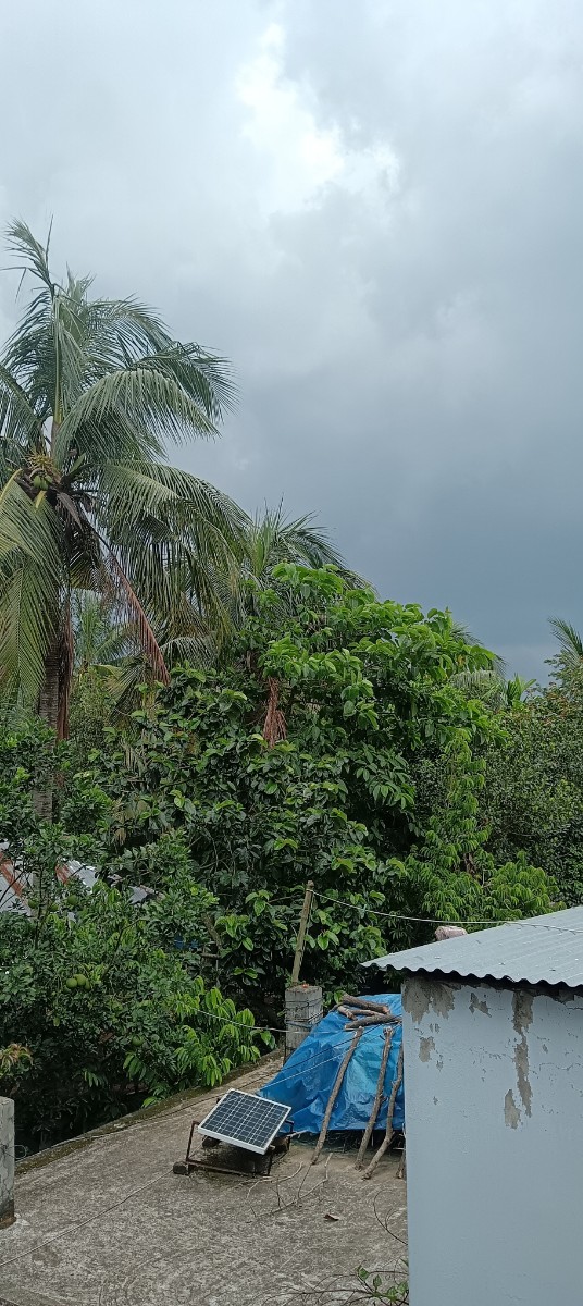 মতলব উত্তর, চাঁদপুর