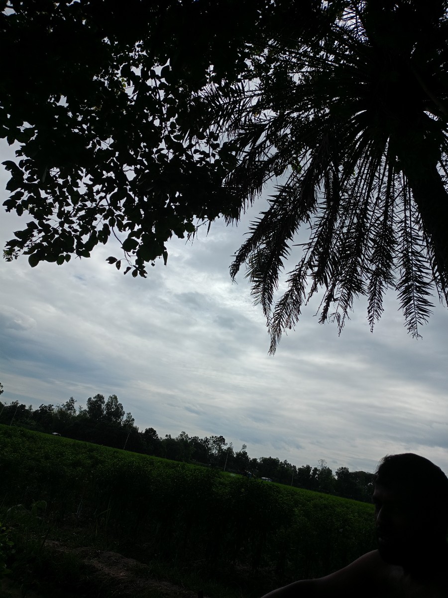 নন্দীগ্রাম, বগুড়া