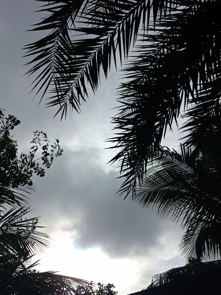 শালিখা, মাগুরা