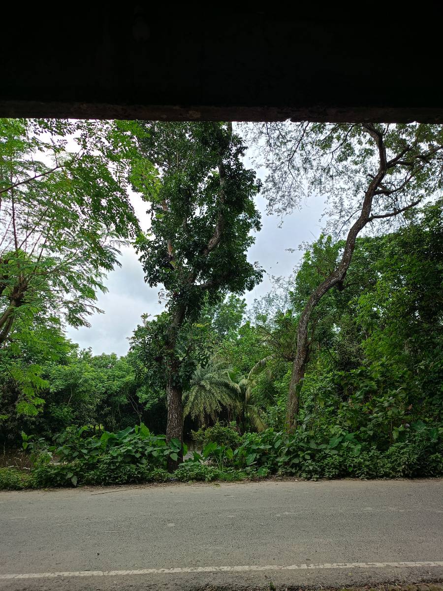 শালিখা, মাগুরা