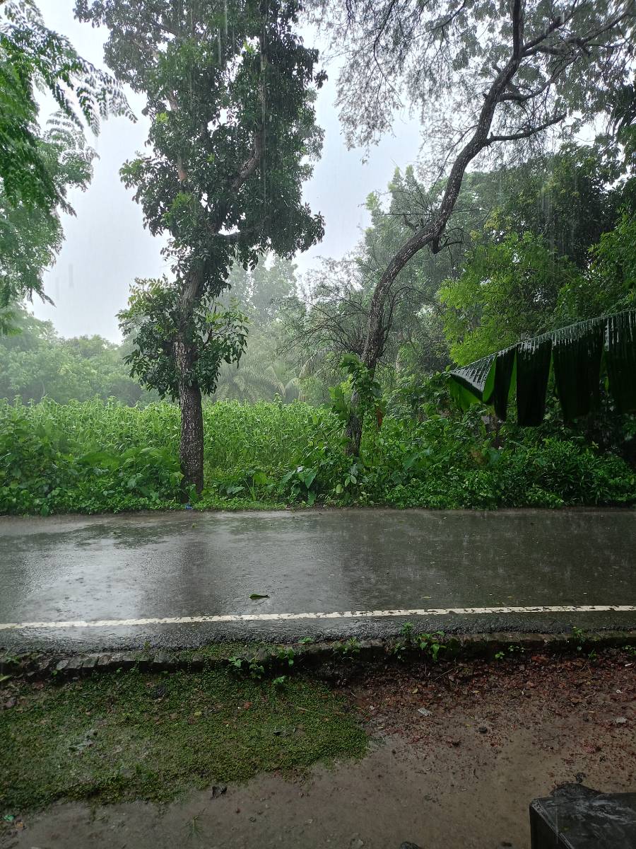 শালিখা, মাগুরা