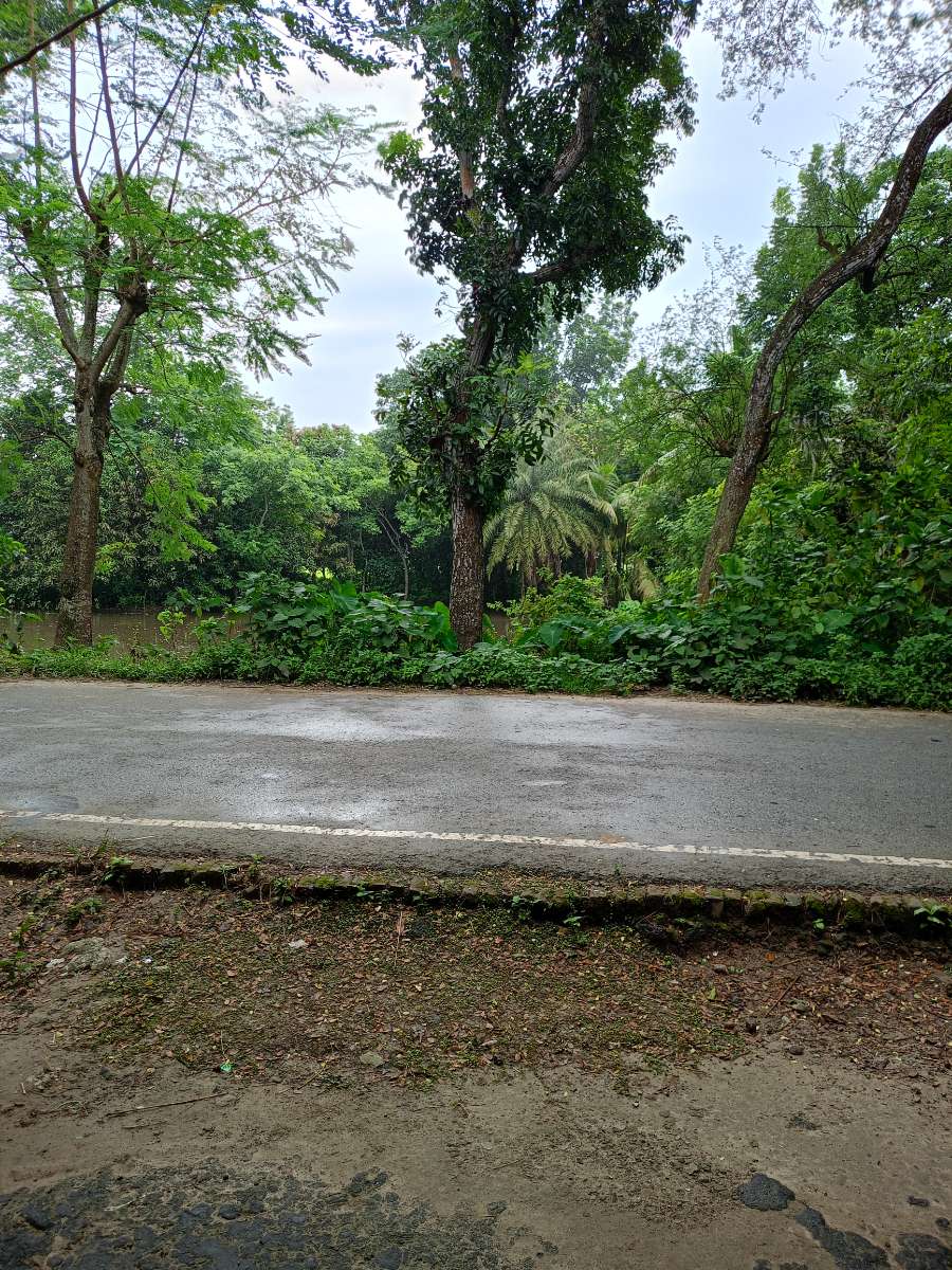 শালিখা, মাগুরা