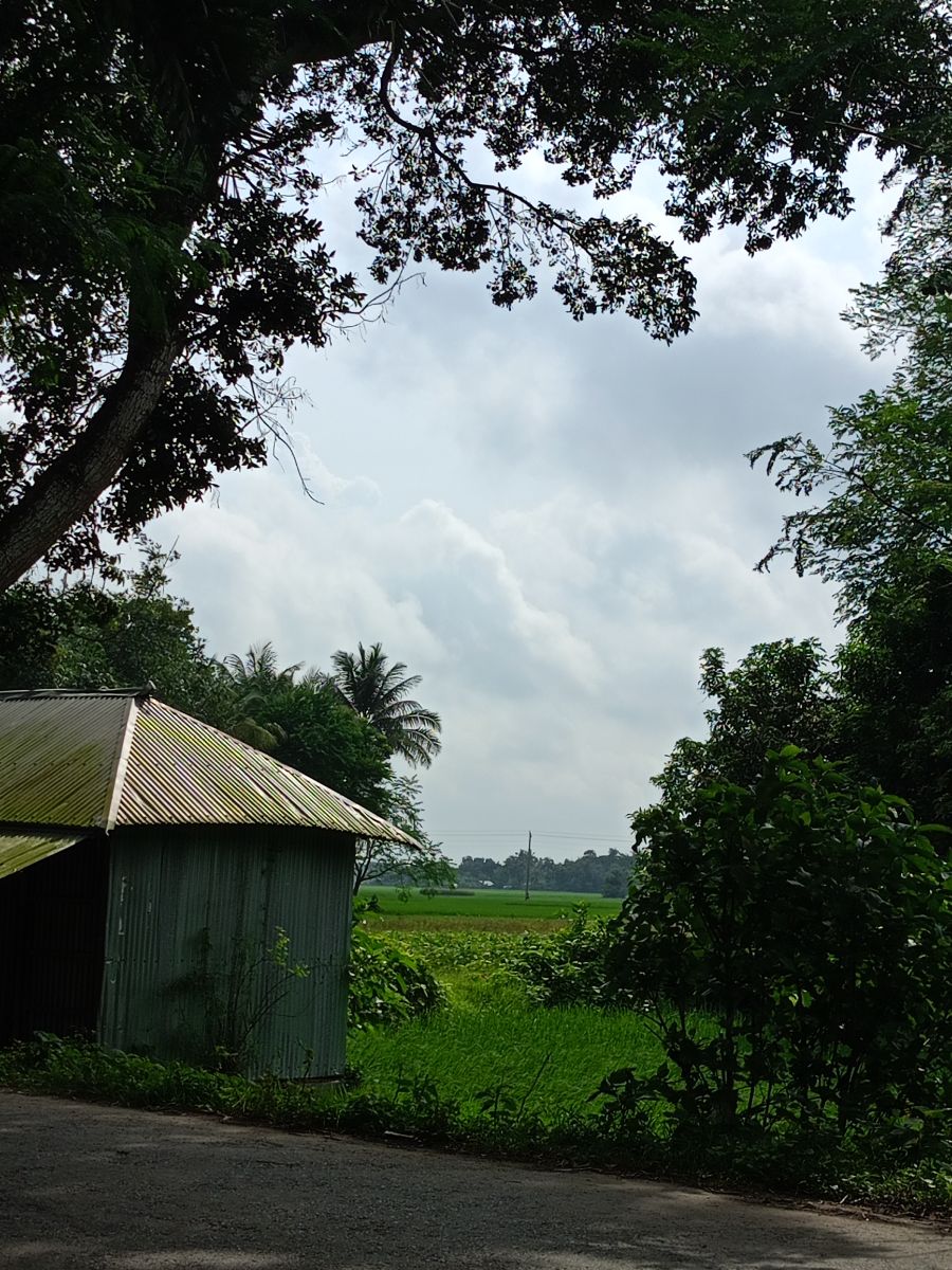 শালিখা, মাগুরা