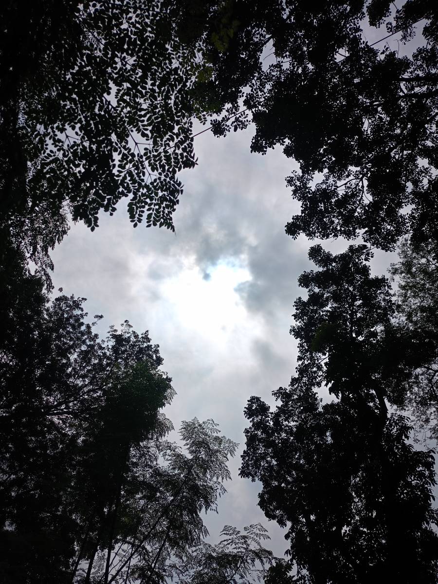 শালিখা, মাগুরা