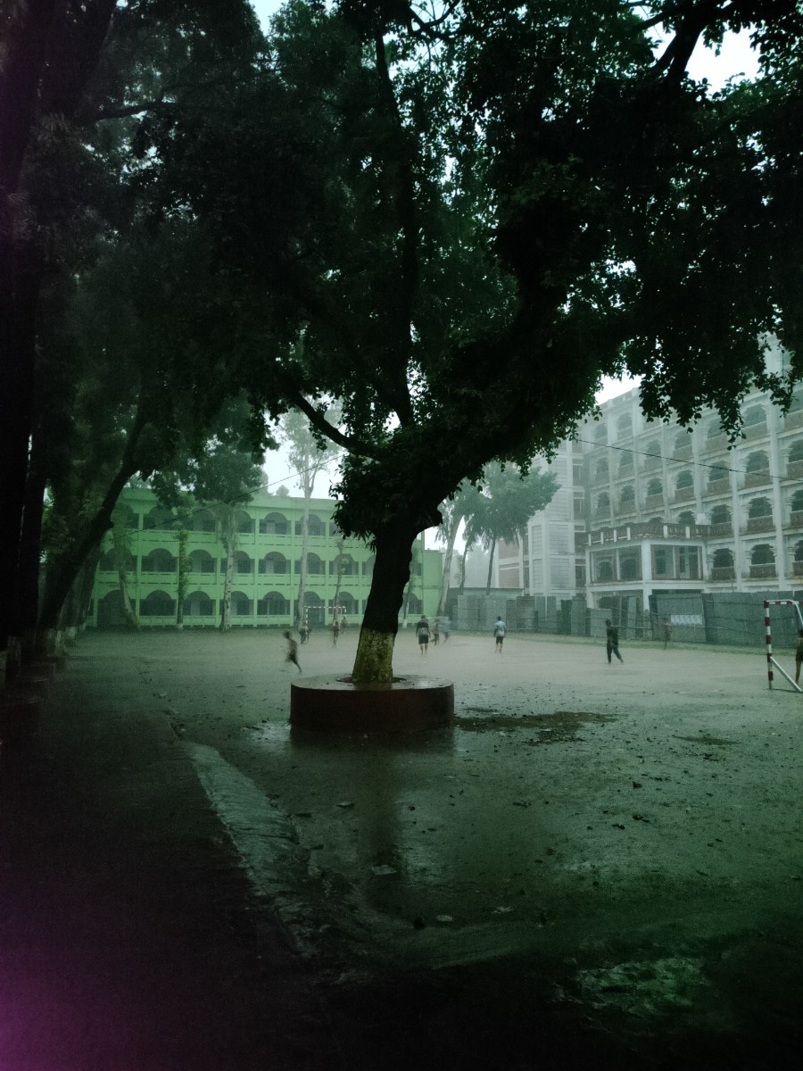 পঞ্চগড় সদর, পঞ্চগড়