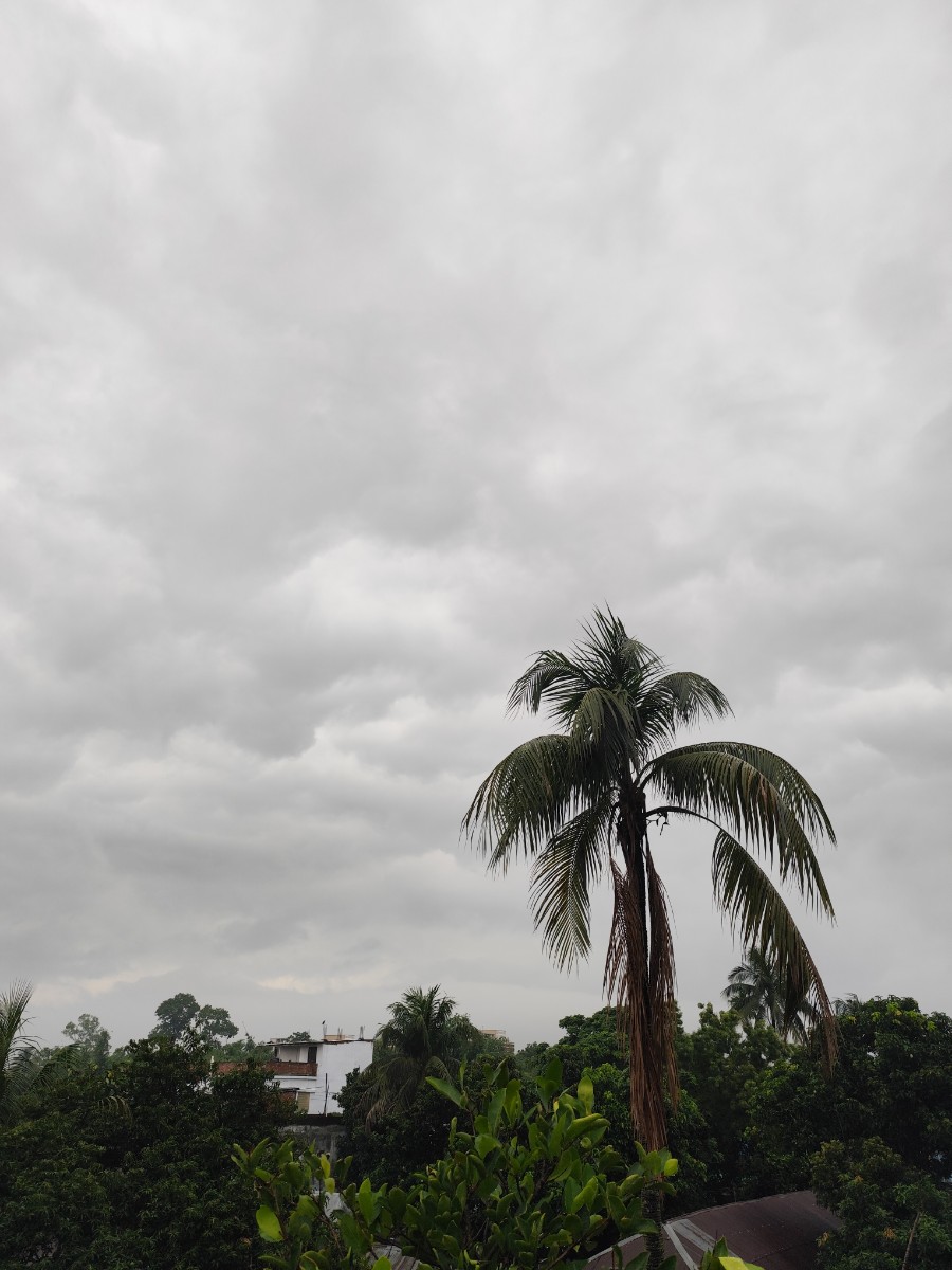 বগুড়া সদর, বগুড়া
