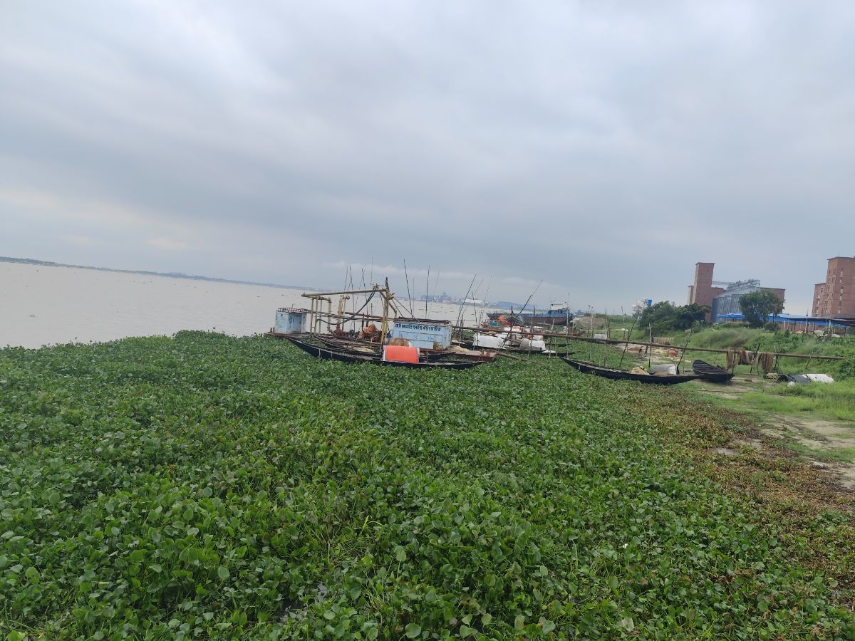 সোনারগাঁও, নারায়ণগঞ্জ