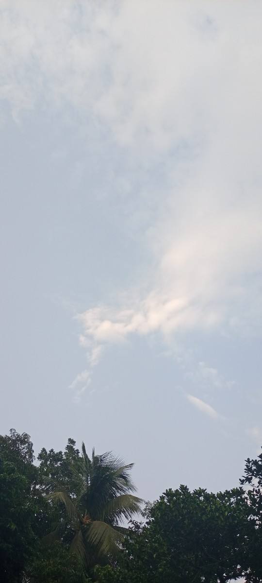 ফেনী সদর, ফেনী
