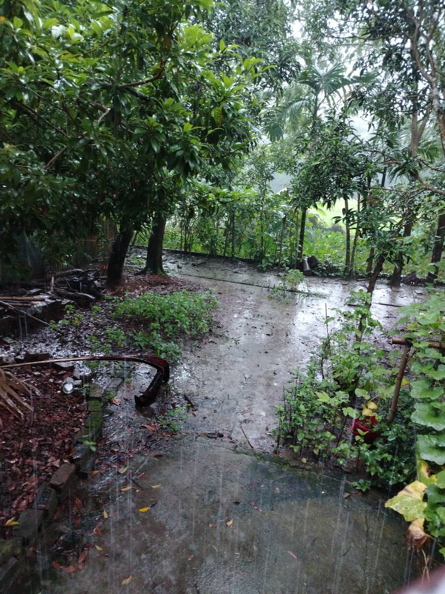 আমতলী, বরগুনা