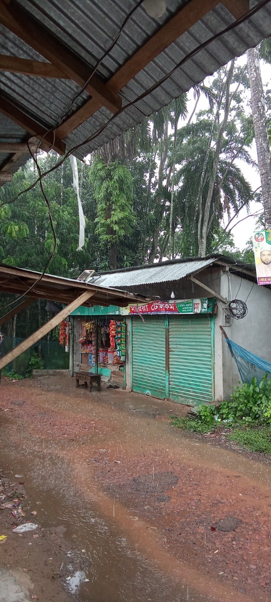 রাজাপুর, ঝালকাঠি