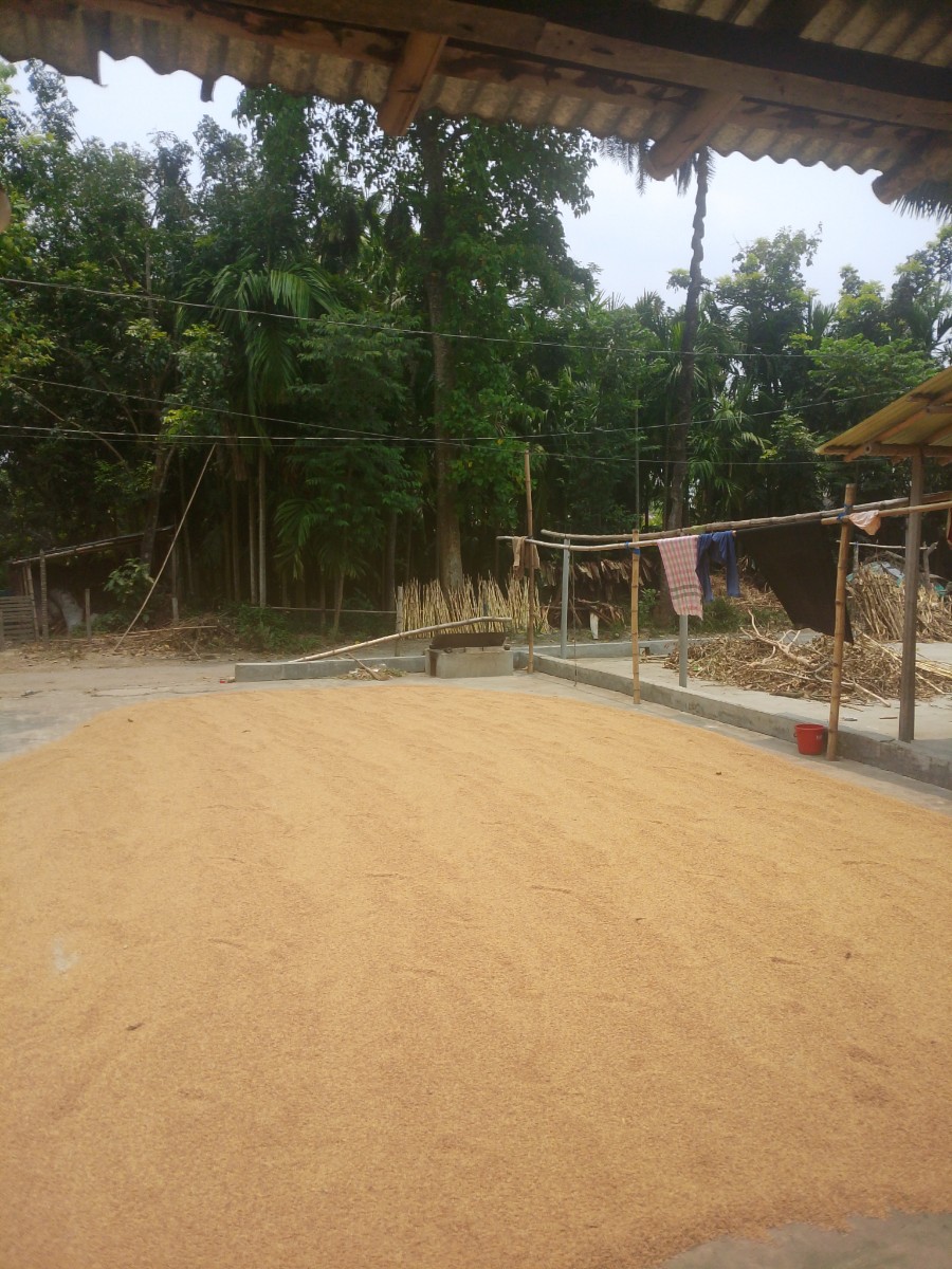 মান্দা, নওগাঁ