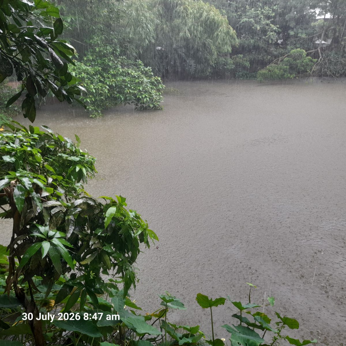 সোনাইমুড়ী, নোয়াখালী