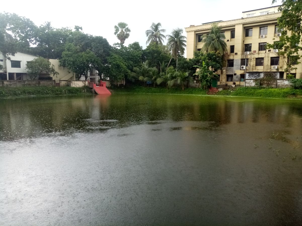 চাঁদপুর সদর, চাঁদপুর