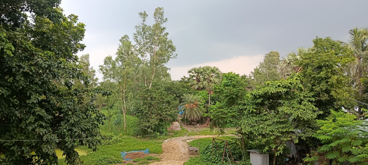 ভাঙ্গুড়া, পাবনা