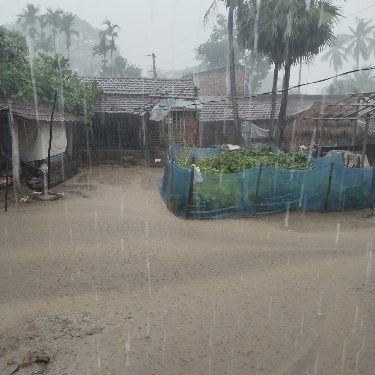 কলারোয়া, সাতক্ষীরা