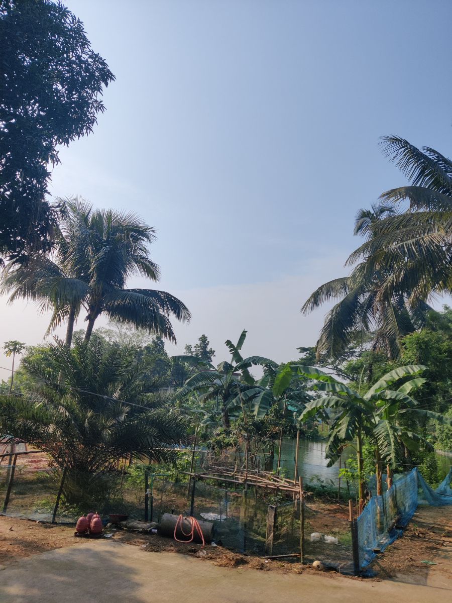 ভালুকা, ময়মনসিংহ