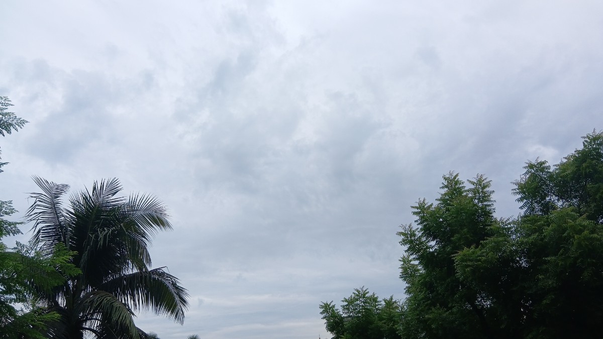 বীরগঞ্জ, দিনাজপুর