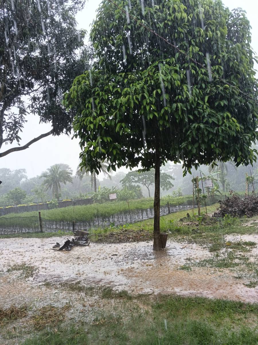 পাকুন্দিয়া, কিশোরগঞ্জ