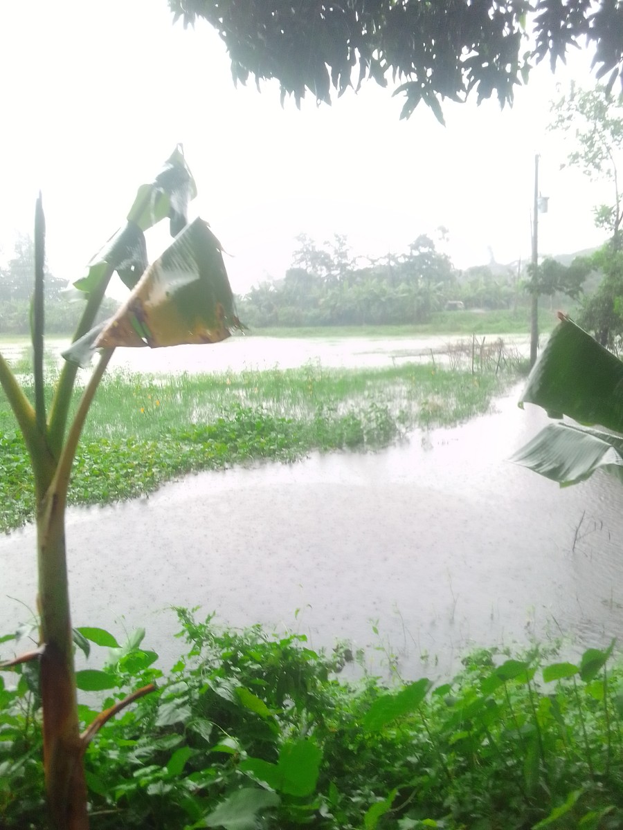 কবিরহাট, নোয়াখালী