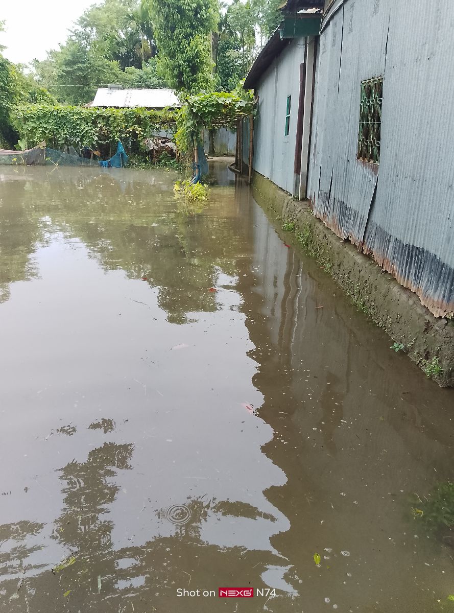 কালীগঞ্জ, লালমনিরহাট
