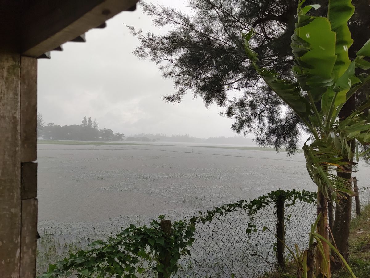 নোয়াখালী সদর, নোয়াখালী