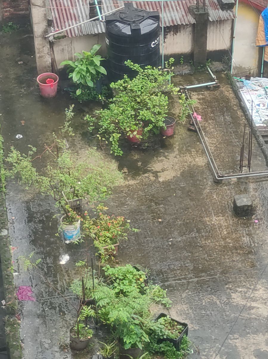 কাফরুল, ঢাকা