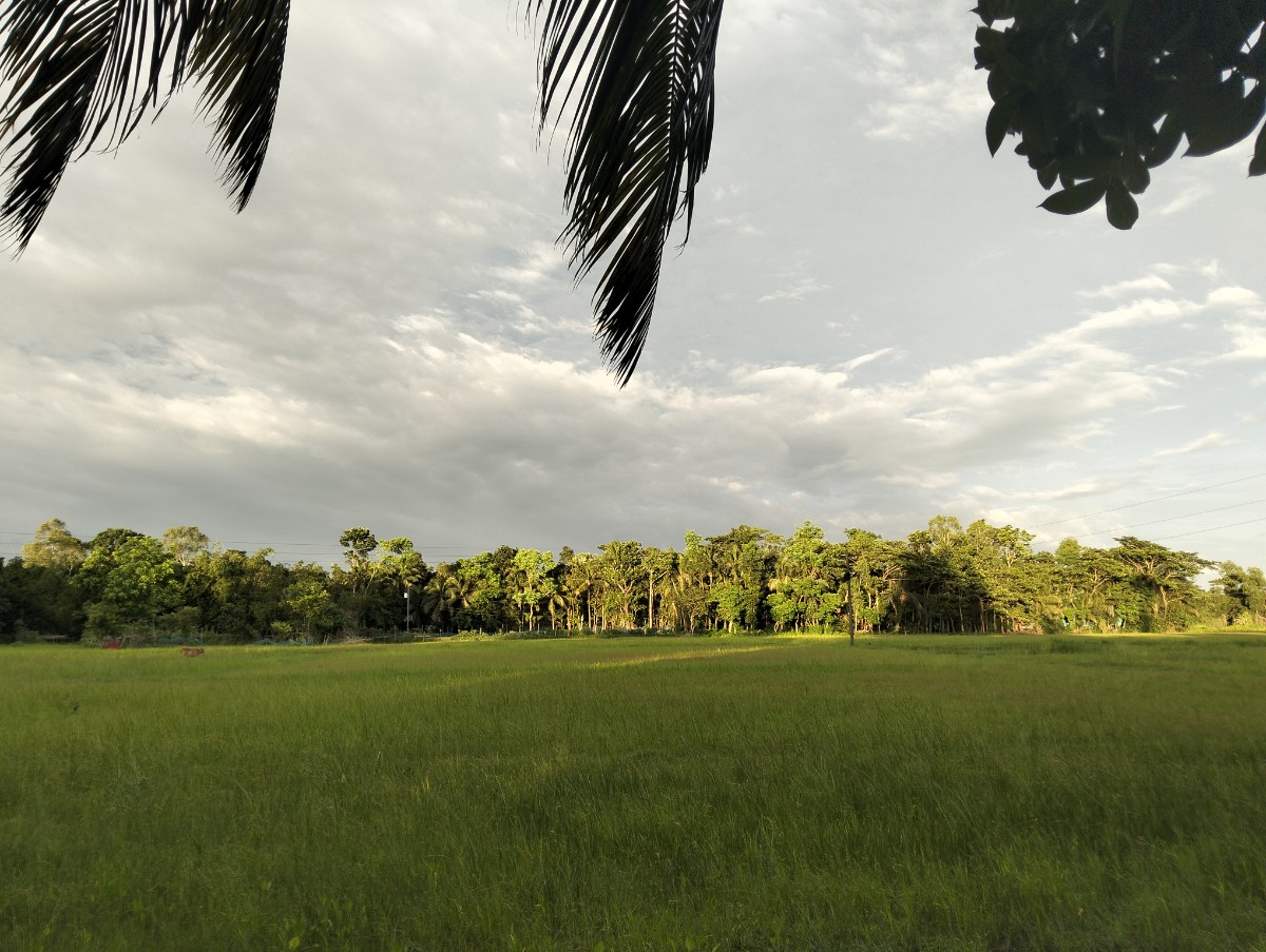 বেগমগঞ্জ, নোয়াখালী
