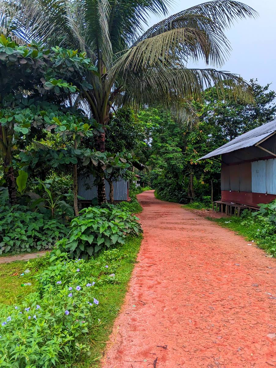 নেছারাবাদ, পিরোজপুর