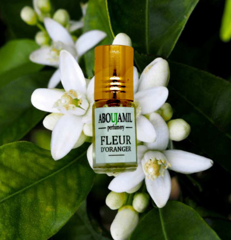 Image de Fleur d'oranger
