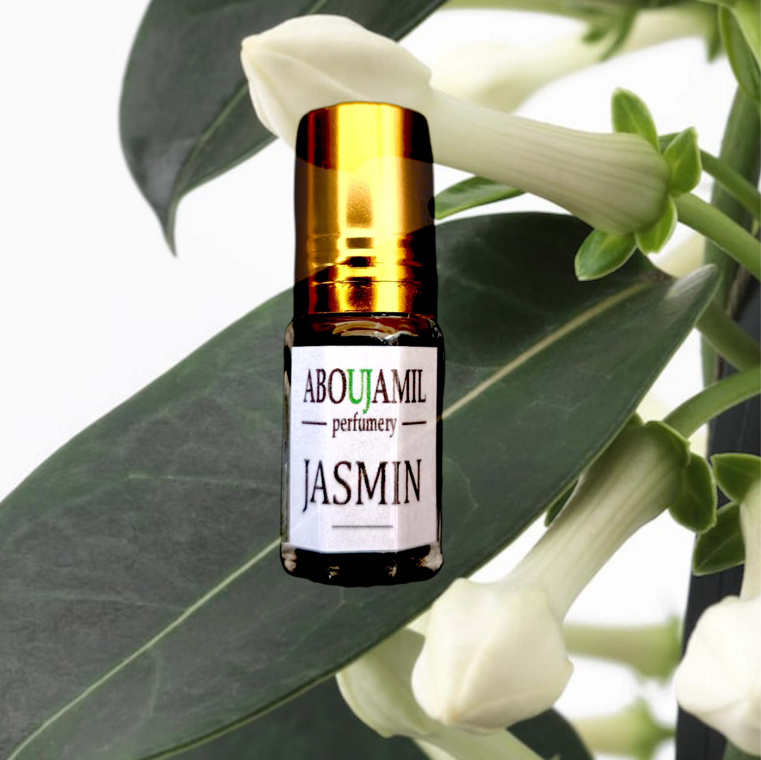 Image de JASMIN Hindi 96