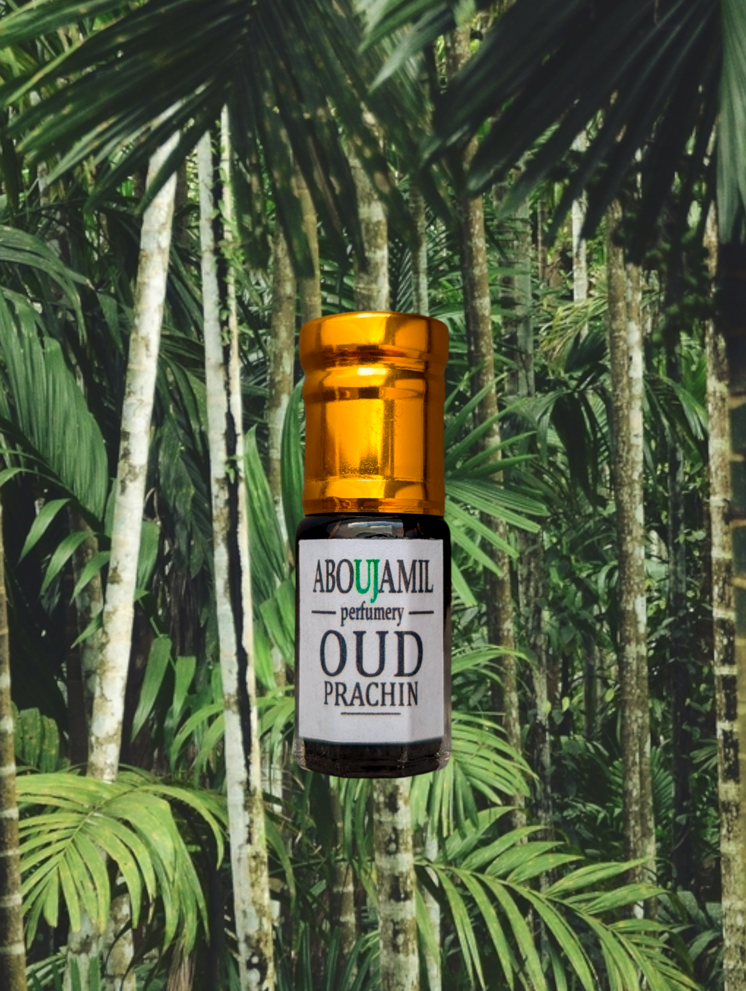 Image de OUD PRACHIN
